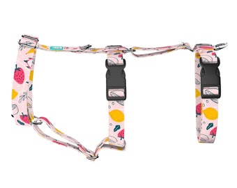 Escape Proof Dog Harness or Cat Harness with Matching Leash (optional) - Summer Fruits - Adjustable Safety Harness - april & june