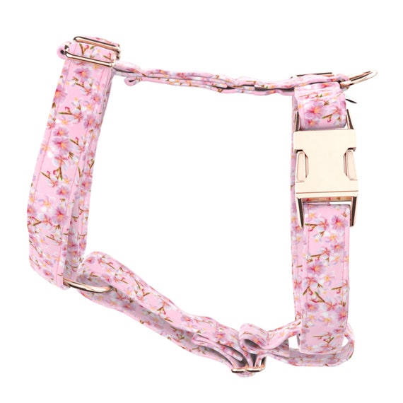 only uniqueness dog harness