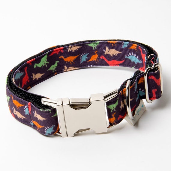 Dinosaur Dog Collar with Matching Leash optional Etsy