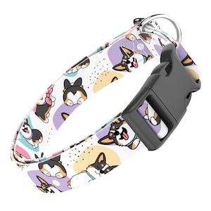 Personalized Dog Collar, Dog Collar and Leash Set, Custom Dog Collar, Dog Breed Collection - Pembroke Welsh Corgi Tricolor - april & june