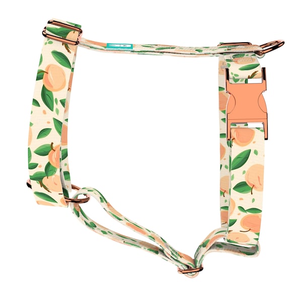 Dog Harness or Cat Harness with Matching Leash (optional) - Peaches - april & june