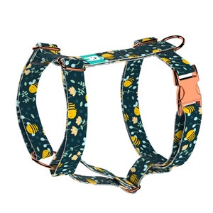 Dog Harness or Cat Harness with Matching Leash (optional) - Cute Kawaii Bees Blue - april & june