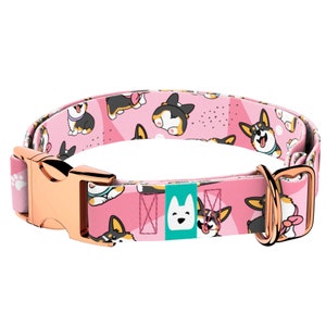 Personalized Dog Collar, Dog Collar and Leash Set, Custom Dog Collar, Dog Breed Collection - Pembroke Corgi Tricolor Pink - april & june
