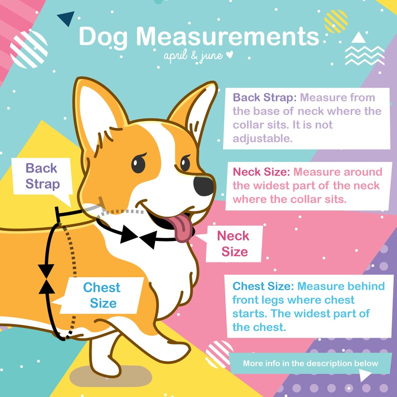 Dog Harness or Cat Harness With Matching Leash optional Etsy