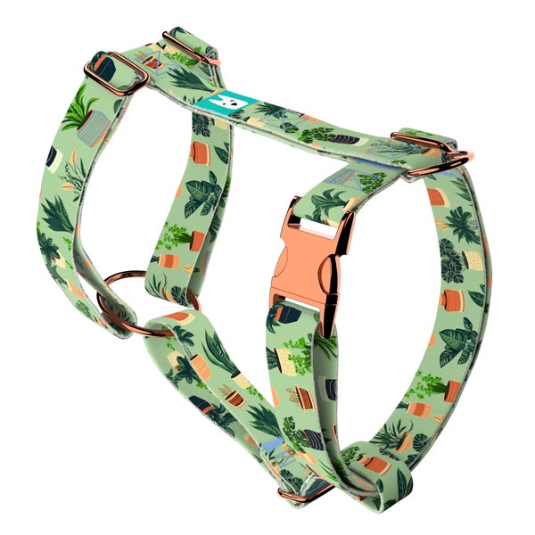 Dog Harness or Cat Harness with Matching Leash (optional) - Tropical Home - april & june