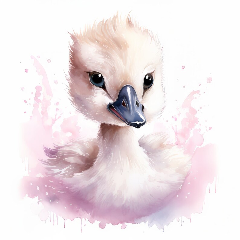 Baby Swan Clipart Bundle | High Quality Png's | 300 DPI ...