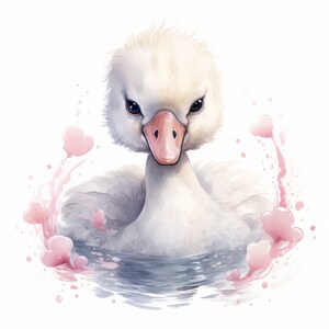 Baby Swan Clipart Bundle. 1 | High Quality Png's | 300 DPI ...