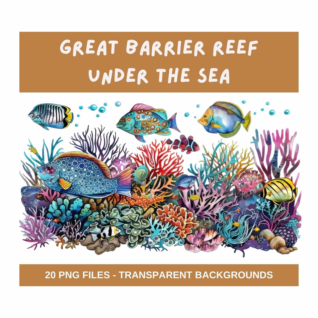 Great Barrier Reef Under the Sea Bundle. - 20 X Png Transparent ...