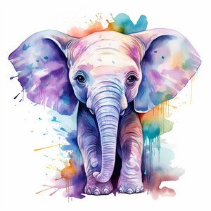 Adorably Cute Elephant Clipart Bundle | PNG | Digital Download | Great ...