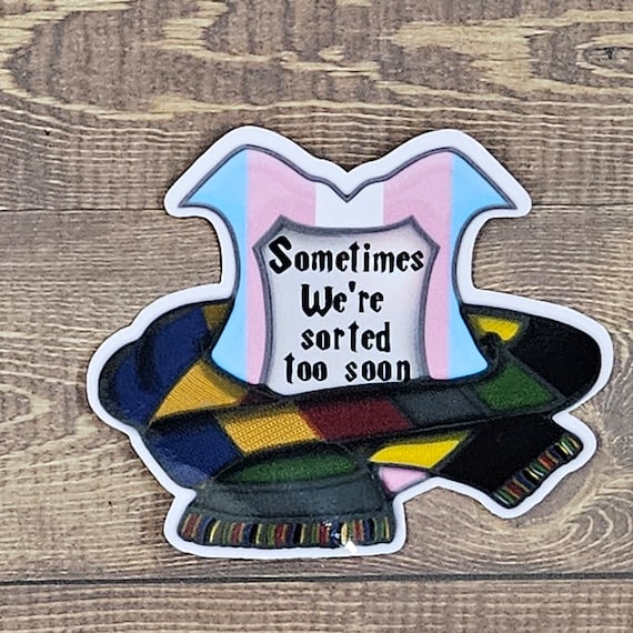 Sorted too soon trans pride stickers