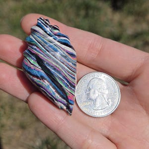 Funkite Carved Conch Shell