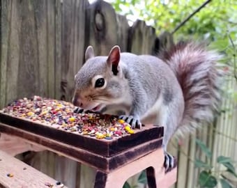 Squirrel Picnic Table, Bird Feeder, Handmade, Weather and Pest Resistant Cedar, Outdoor Garden Accessory, for Tree, Fence, Ground or Table