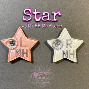 Op de afbeelding: Twee stervormige markers met zwarte en witte verf. Elke ster heeft een doorzichtige plastic cirkel met zwarte BB's erin. De tekst "L NH" staat op de roze ster en "R NH" op de witte ster.