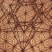 Avatar van FractalRootsDesign