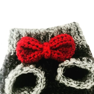 Small Dog Sweater with Bow