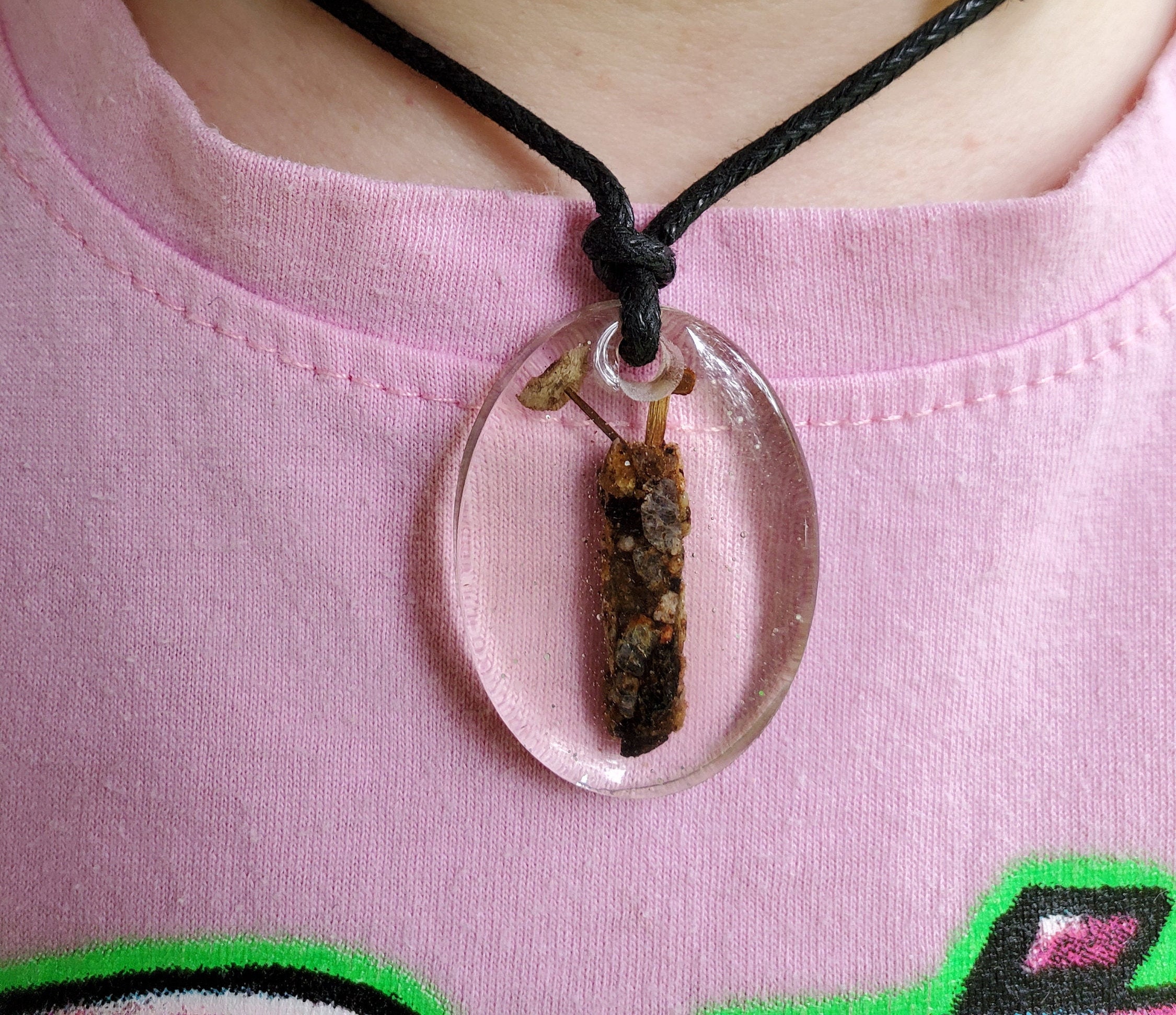 Caddisfly Larvae Cocoon w/Mushrooms in Resin Etsy