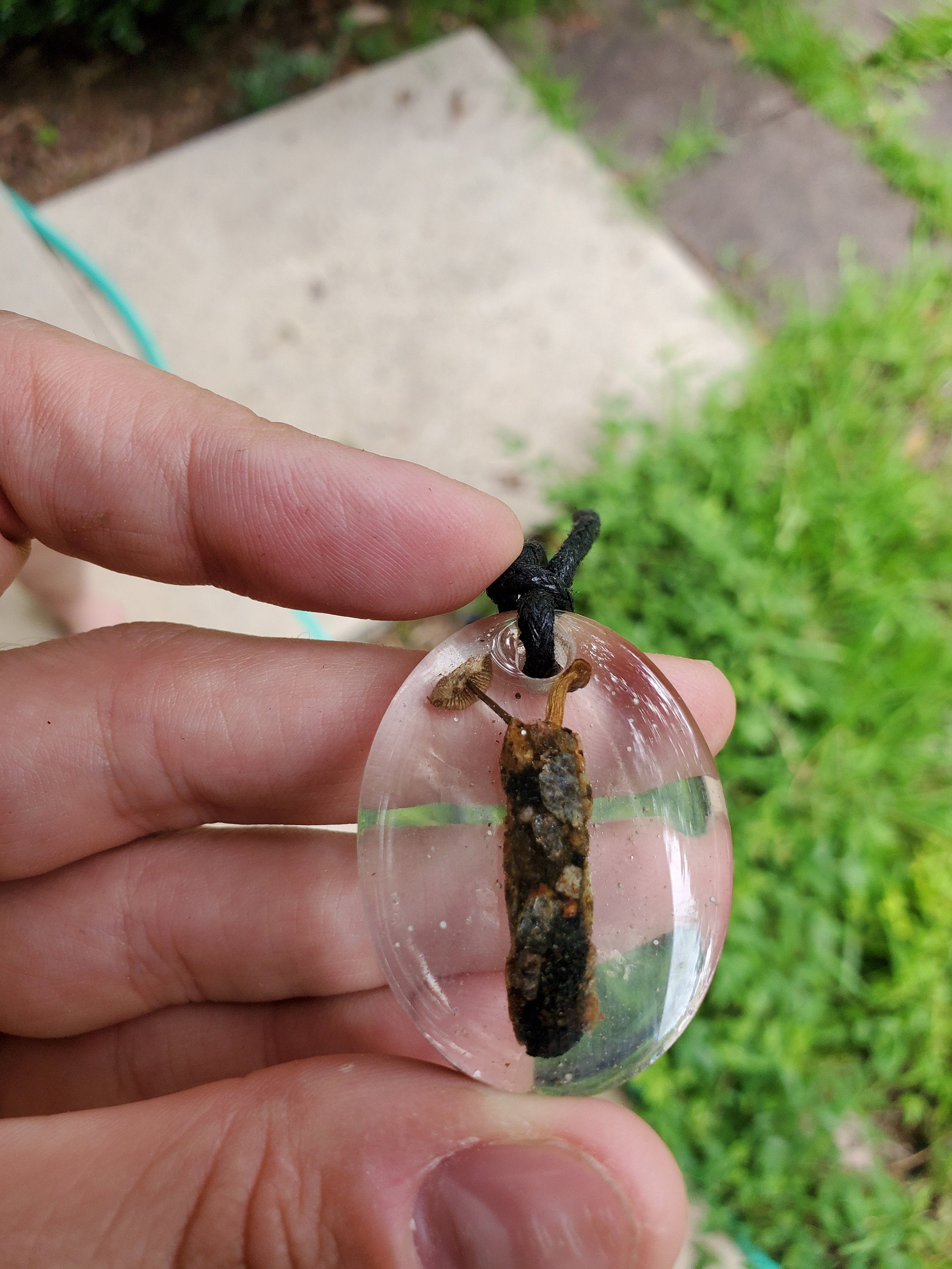 Caddisfly Larvae Cocoon w/Mushrooms in Resin Etsy