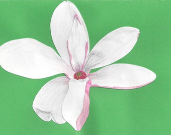 Magnolia greeting card