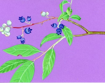 Blueberry Art Card, Cut Paper Design (Recycled)