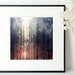 Les bois sombres - Photo, Tirage d'art (forêt, fantome, fineart, artprint)