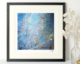 Les herbes bleues - Photo, Tirage d'art (fleurs, fineart, artprint, flowers, photographie, aquarelle)