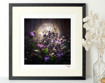 Nocturne - Photo, Tirage d'art (fleur, lune, nuit, pervenche, fineart, artprint, floral)