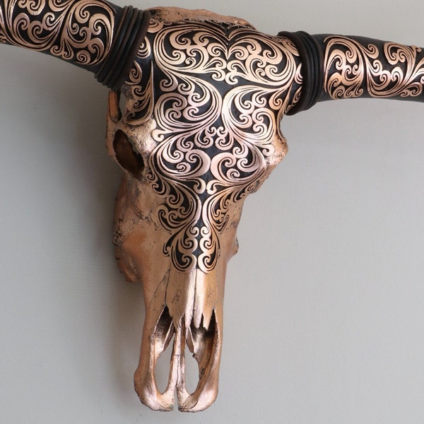 Real Longhorn Skull Etsy