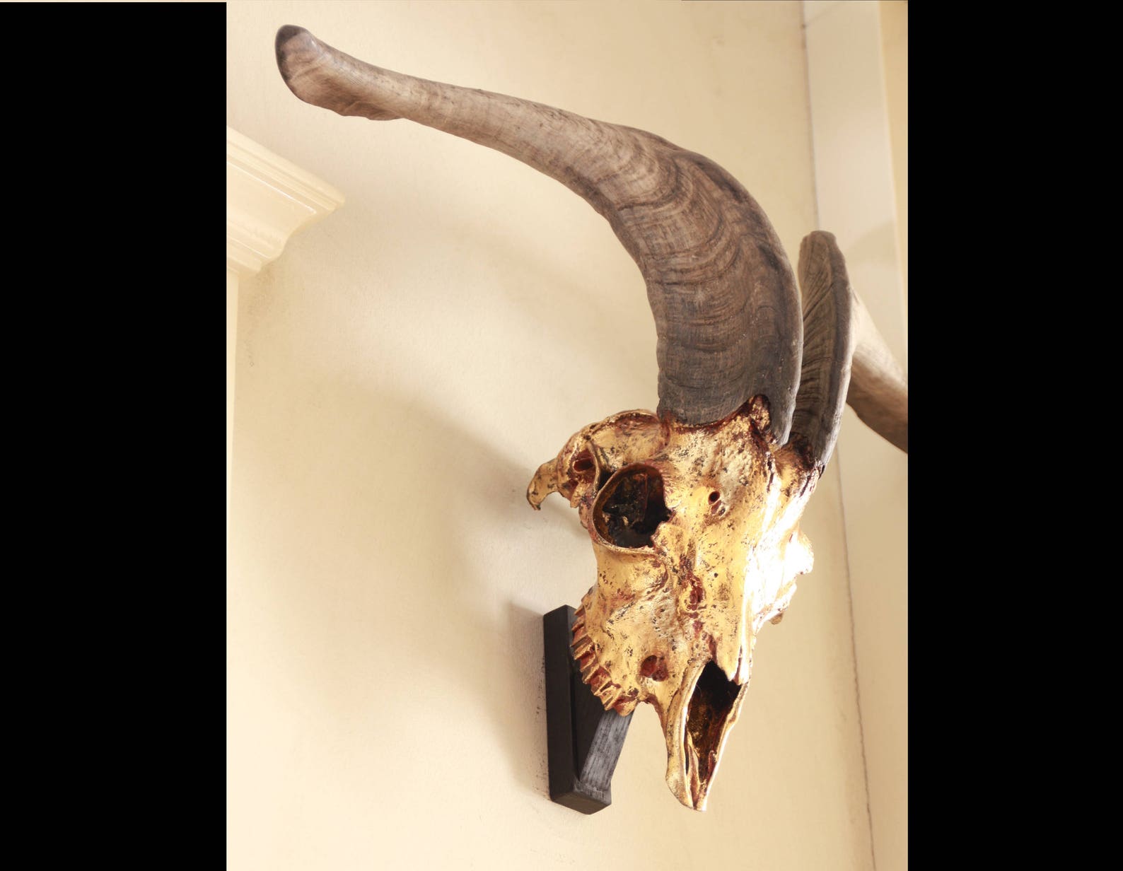 Goat skull with horns Goat skull for wall mount Gilded goat Etsy
