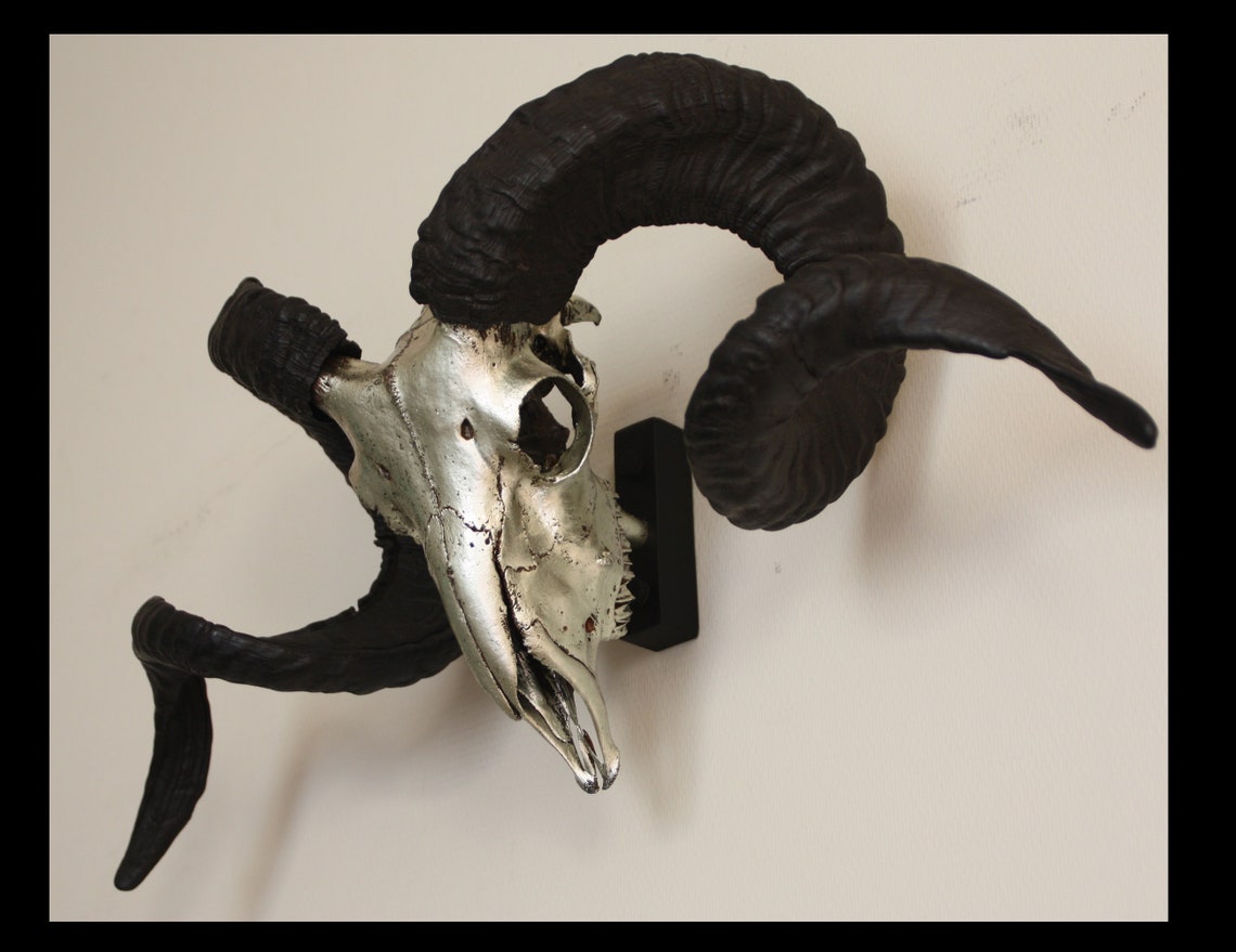 Ram skull wall mount real ram skull wall decor metal ram Etsy