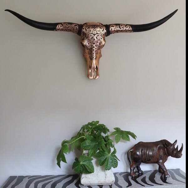 Real Longhorn Skull - Etsy