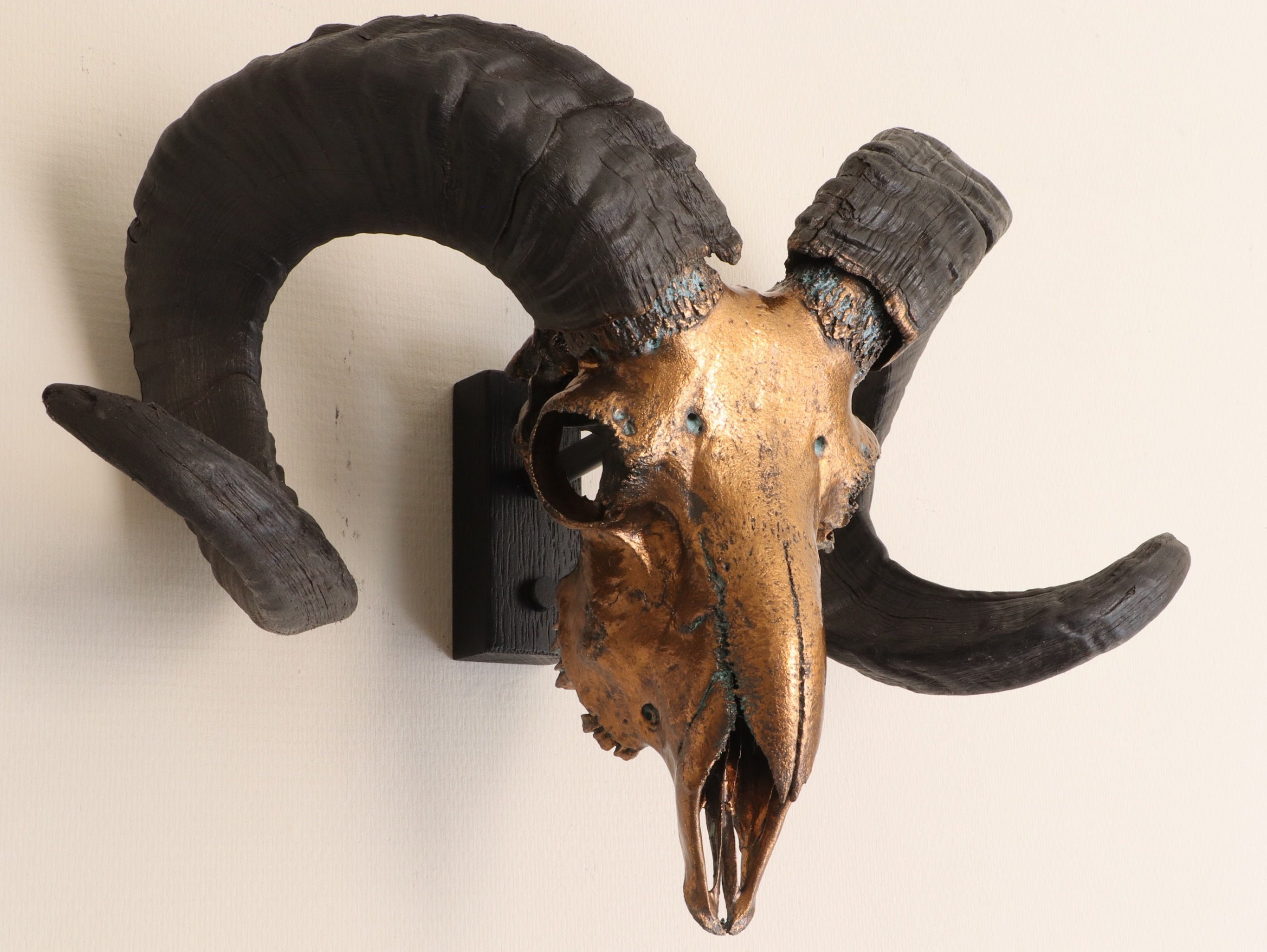 Ram Skull Wall Mount Real Ram Skull Wall Decor Metal Ram Etsy