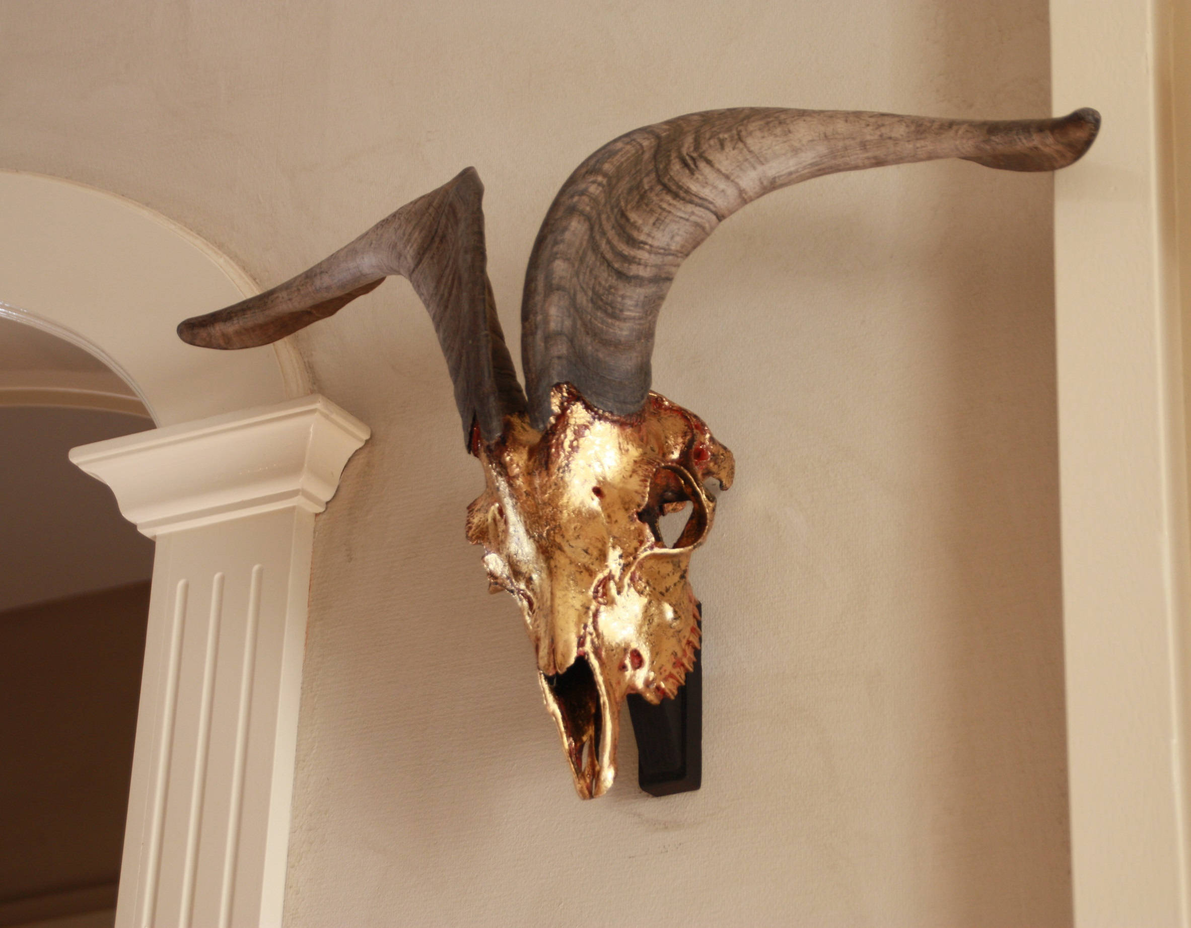 Goat skull with horns Goat skull for wall mount Gilded goat Etsy