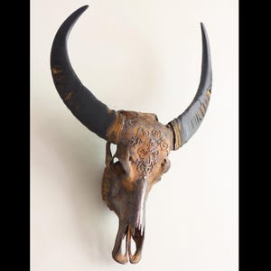 Rusted buffalo skull, Real Bullskull, Rustic Ornamental decor, livingroom decor, wallmount skull , wall display, flower design, mancave