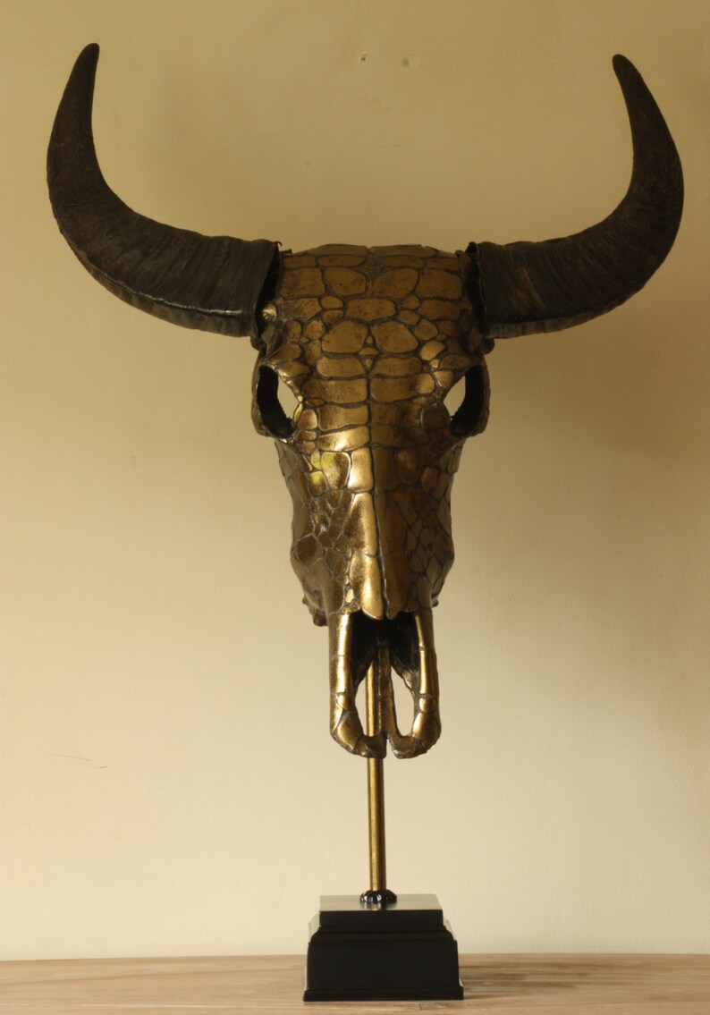 Buffalo Skull With Brass Decor Large Steer Skull On Stand Decorated Buffalo Skull Real Cow Skull In Metalic Brass Effect Home Decor Taxidermy Curiosities Kientructhanhdat Com
