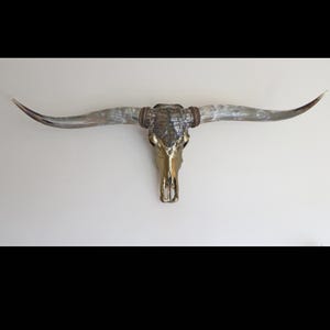 Longhorn, original Longhornskull, Longhorn Skull real horns, Living Room Decor, Unique Rustic Walldecor, Caesar Wall Decor, Decorated  skull