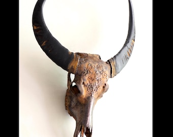 Rusted buffalo skull, Real Bullskull, Rustic Ornamental decor, livingroom decor, wallmount skull , wall display, flower design, mancave