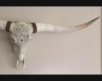 longhornskull, carved longhornskull, home decor, walldecoration, Naturel Buffaloskull with fitted XL polished longhorns, western walldecor