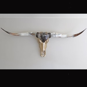 XL Longhorn, original Longhornskull, Steerskull real horns, Living Room Decor, exclusive wallart, exquisit walldecor, handdecorated  skull