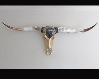 XL Longhorn, original Longhornskull, Steerskull real horns, Living Room Decor, exclusive wallart, exquisit walldecor, handdecorated  skull