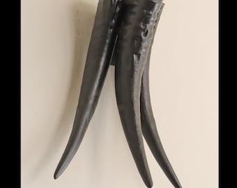 Real Waterbuffalohorns wall decor, Wall Decor plantholder, wall mount planter, 3 buffalo horned wall vase, real antler Decor, wall hanging