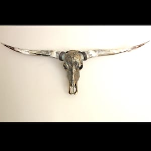 Crâne de Longhorn avec cornes polies, crâne fini en métal effet laiton-bronze avec patine antique, objet d'art à monter au mur
