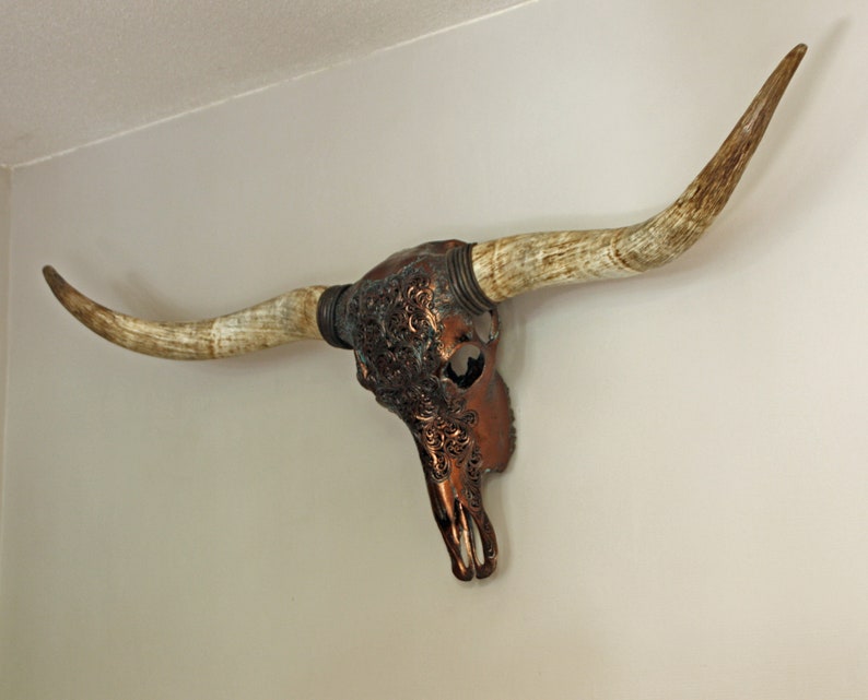 Large longhorn skull engraved and carved skull Rustic Etsy