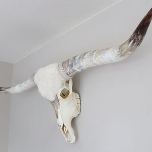 XL Longhorn décoré de cristaux, crâne de buffle blanc décoré, crâne de longhorn décoré d'or, objet d'art crâne de longhorn