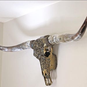 Crâne de buffle à longues cornes, crâne de buffle XXL avec un design découpé en métal effet laiton-bronze et doté de cornes polies réelles et magnifiquement courbées.