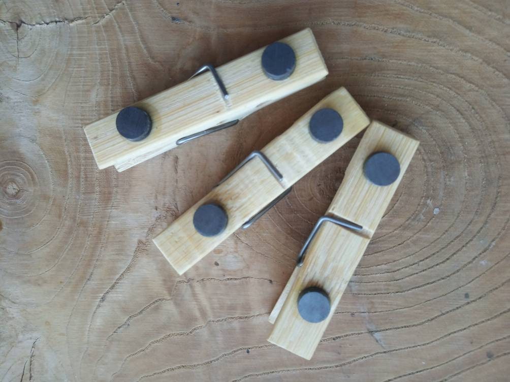 Hand Painted Wooden Clothespins Bag Petrikov petrykivka Etsy