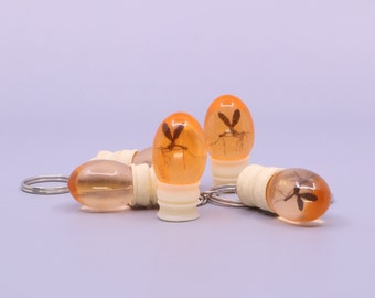 May include: Four orange keychains with a small insect encased in resin. Each keychain has a silver metal ring.