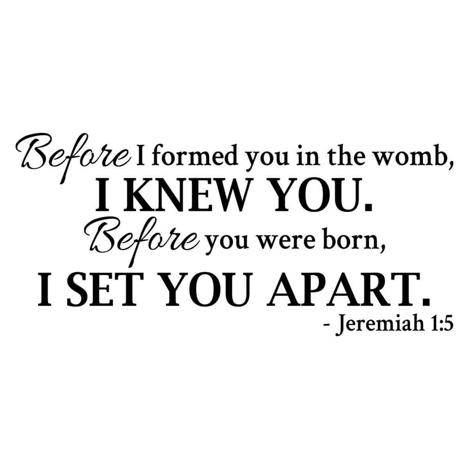 Before You Were Formed In The Womb Kjv - k3xj4rd