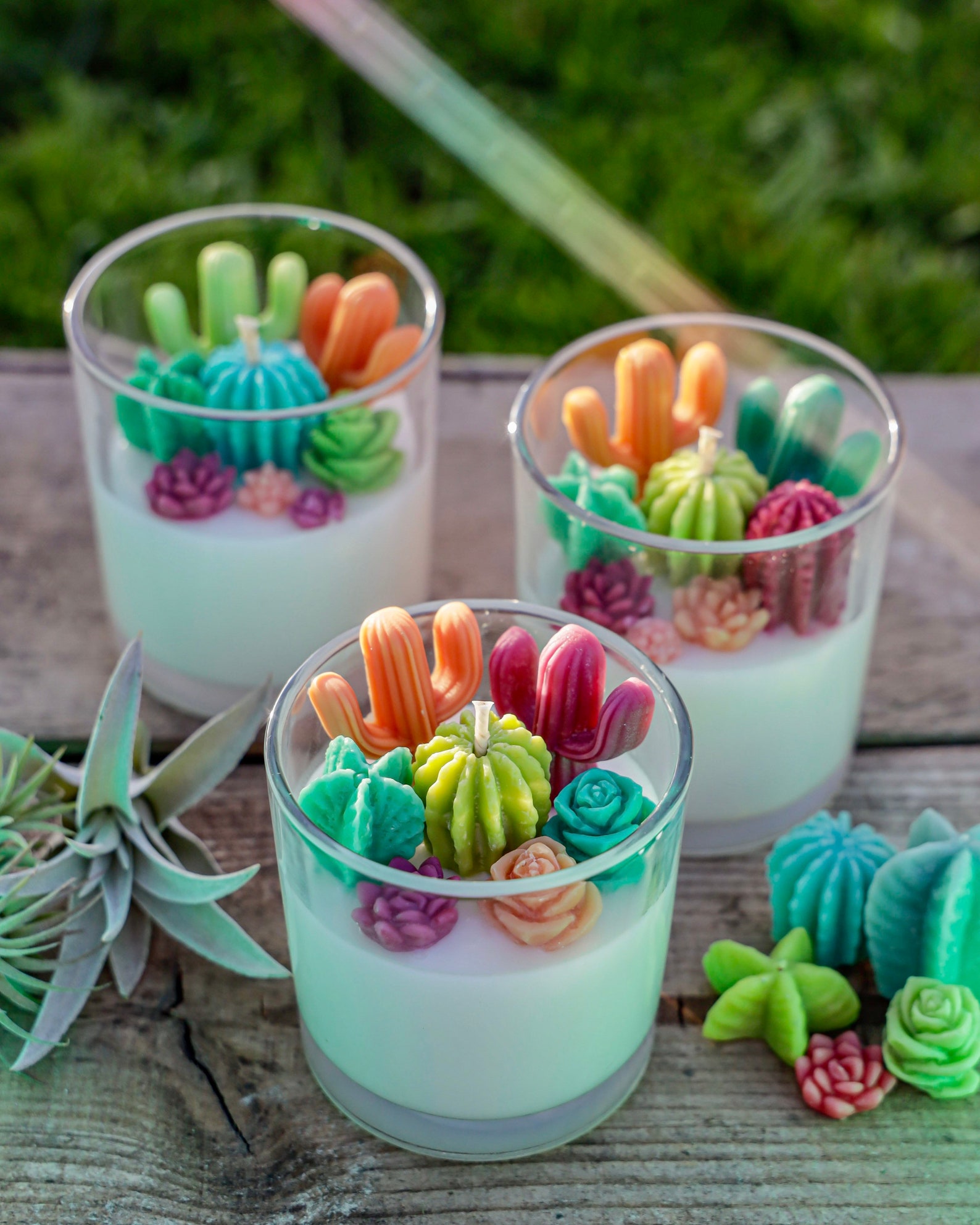 Cactus Candle// Succulent Candle// Gift for Plant Lover Etsy