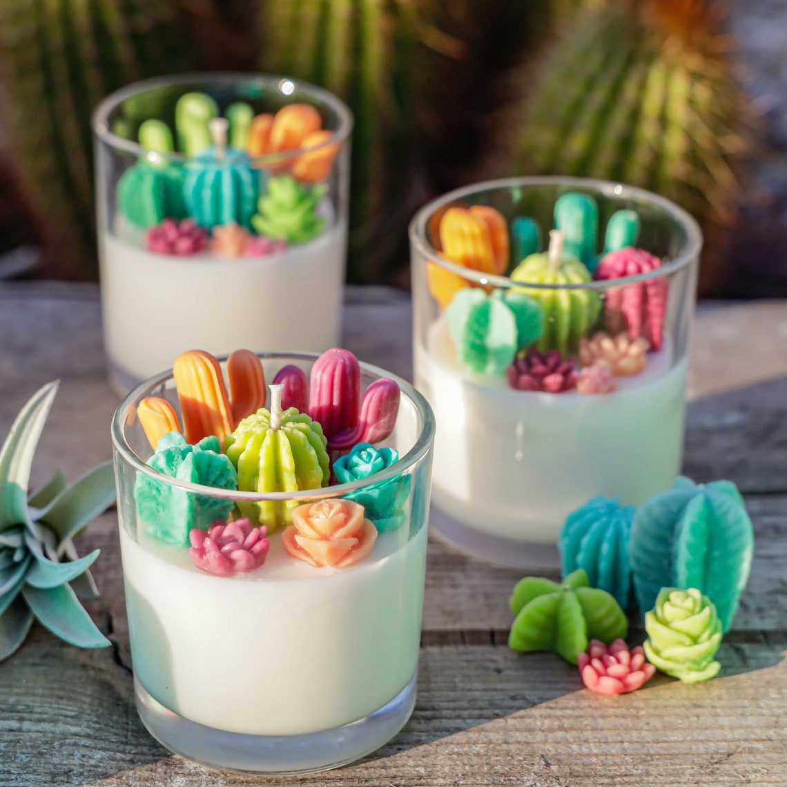 Cactus Candle// Succulent Candle// Gift for Plant Lover Etsy