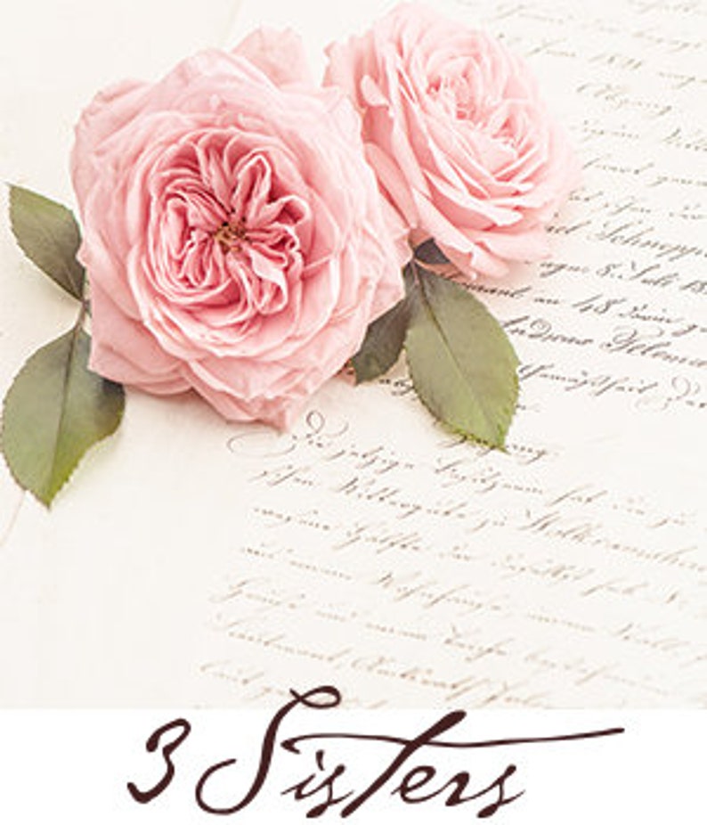 44254.12 Bloom by Three Sisters, Color Blush Sanctuary 12 yd. continuous cuts